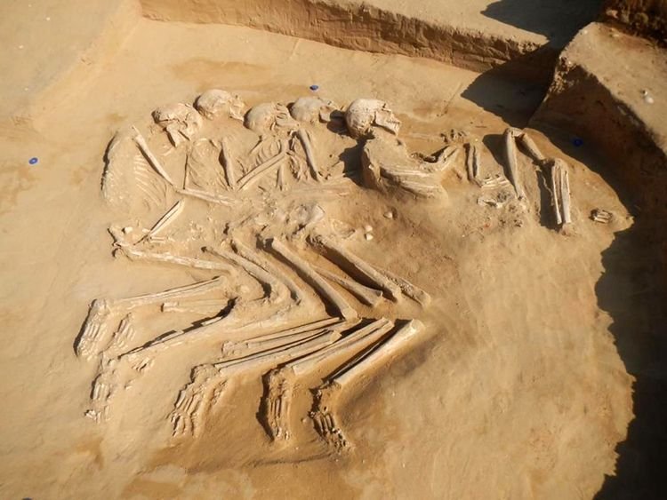 Five interlocked skeletons dating back thousands of years found in the UAE