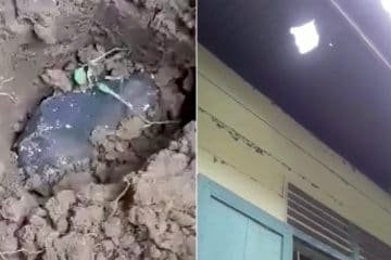 Man becomes millionaire after meteorite smashes through his roof